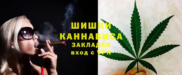 молекула духа Киреевск