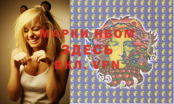 винт Инта