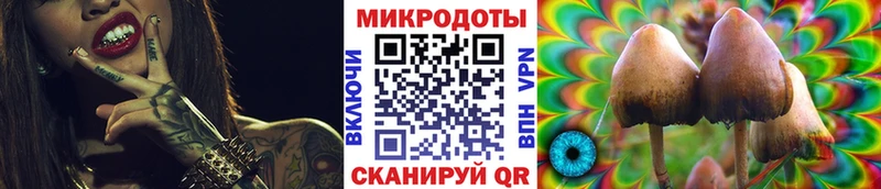 где продают наркотики Кохма Псилоцибиновые грибы GOLDEN TEACHER